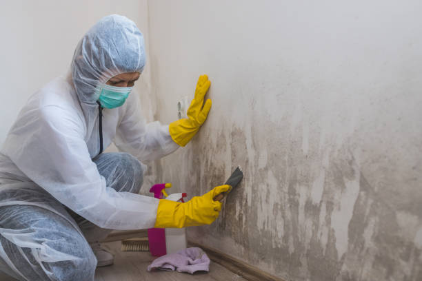 Best Mold Remediation for Healthcare Facilities  in Mercersburg, PA