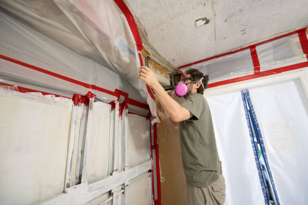 Trusted Mercersburg, PA Mold Removal Experts