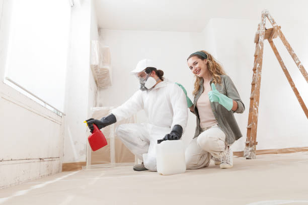 Biohazard Mold Removal in Mercersburg, PA