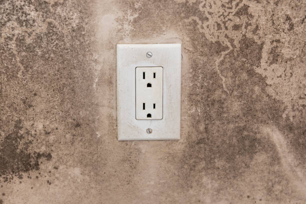 Best Industrial Mold Remediation  in Mercersburg, PA