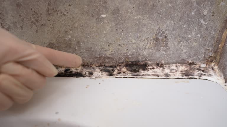 Best Residential Mold Inspection & Testing  in Mercersburg, PA
